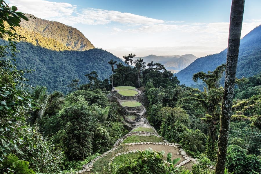 Ciudad Perdida: The gateway to the Past of the Sierra Nevada de Santa Marta