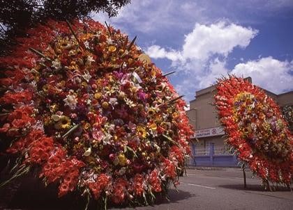 Flores