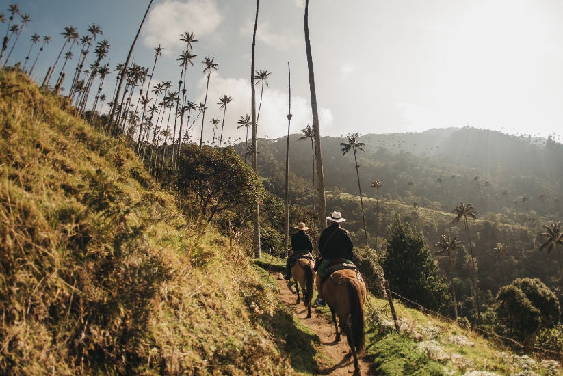 Valle del cocora