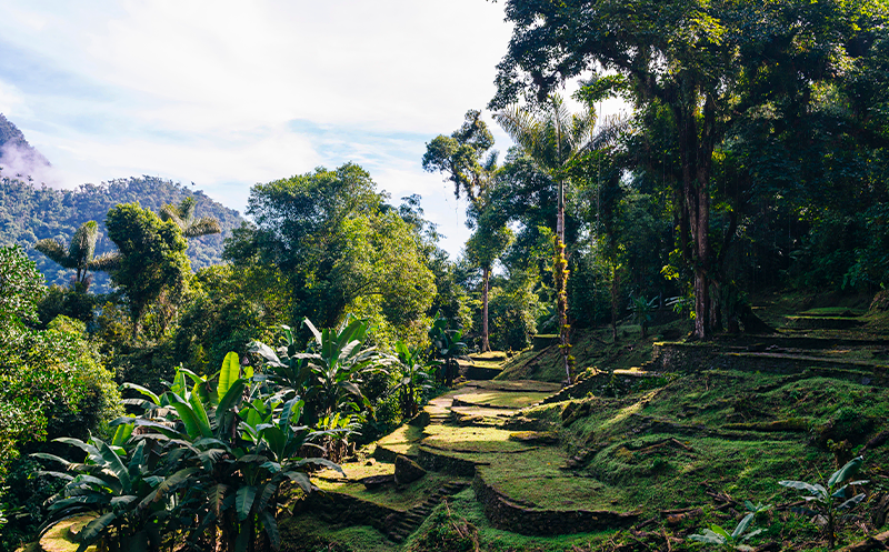 Beautiful landscape of the Lost City in Santa Marta