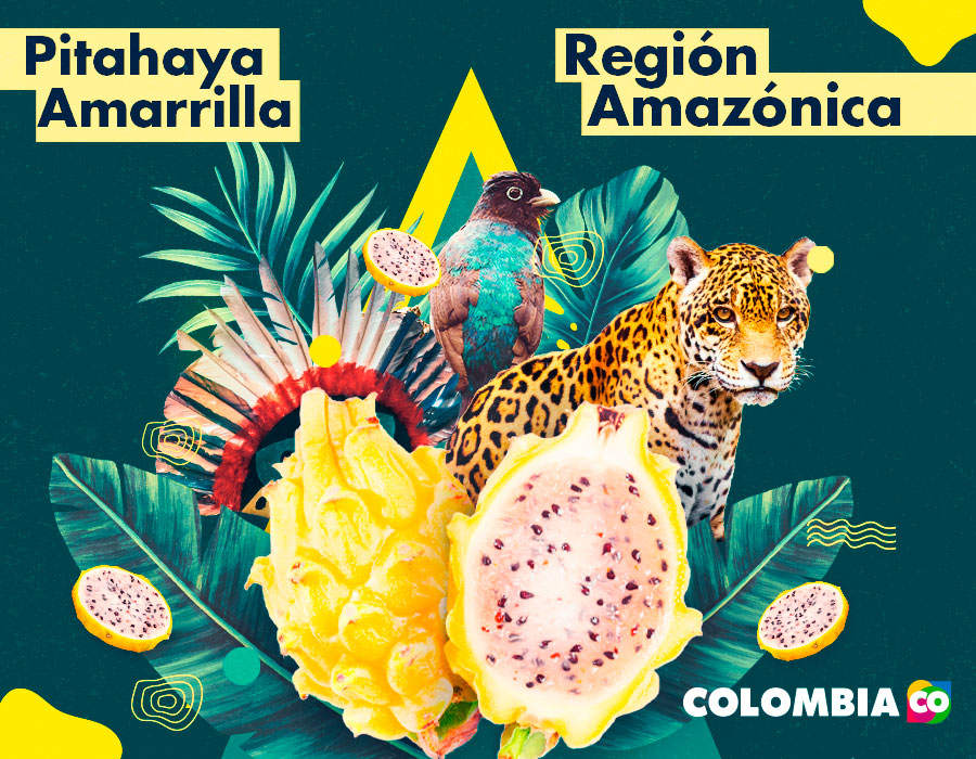 Elementos del Amazonas como el jaguar y la pitaya. Esta última, es una de las frutas tropicales de la región.
