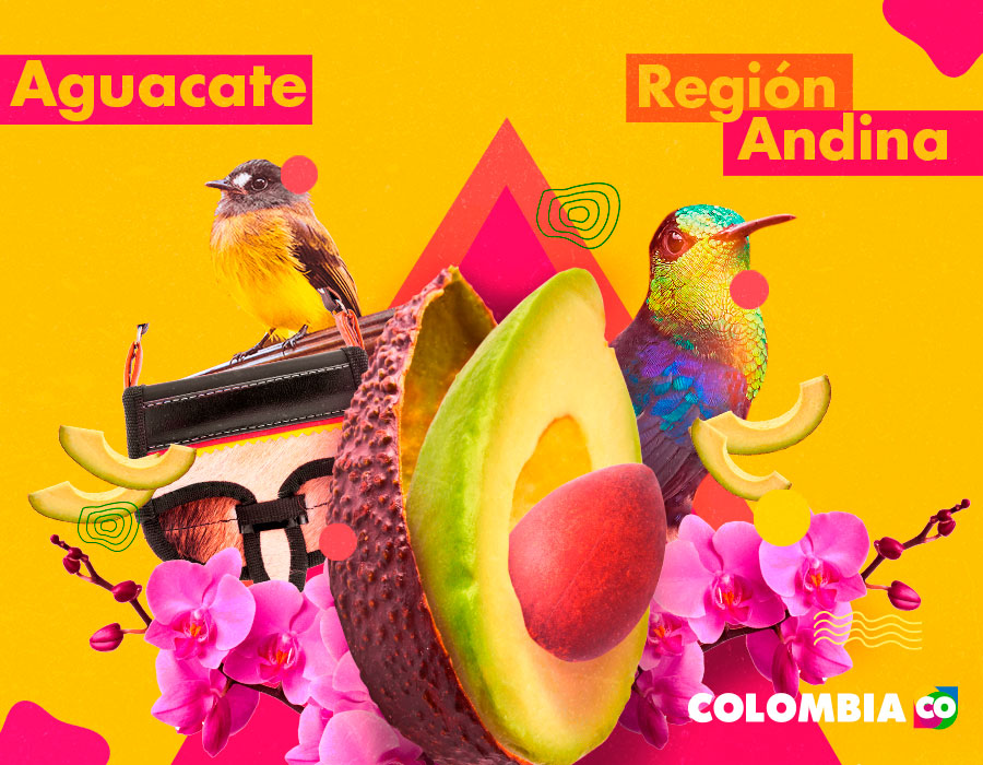 Orquídeas, un carriel y el aguacate. Este último es una de las frutas tropicales de Colombia.