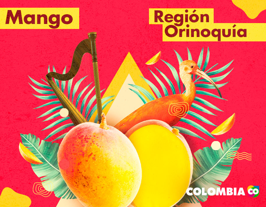 El mango es una de las frutas tropicales de la Región Andina. Otro elemento de la región es el arpa.