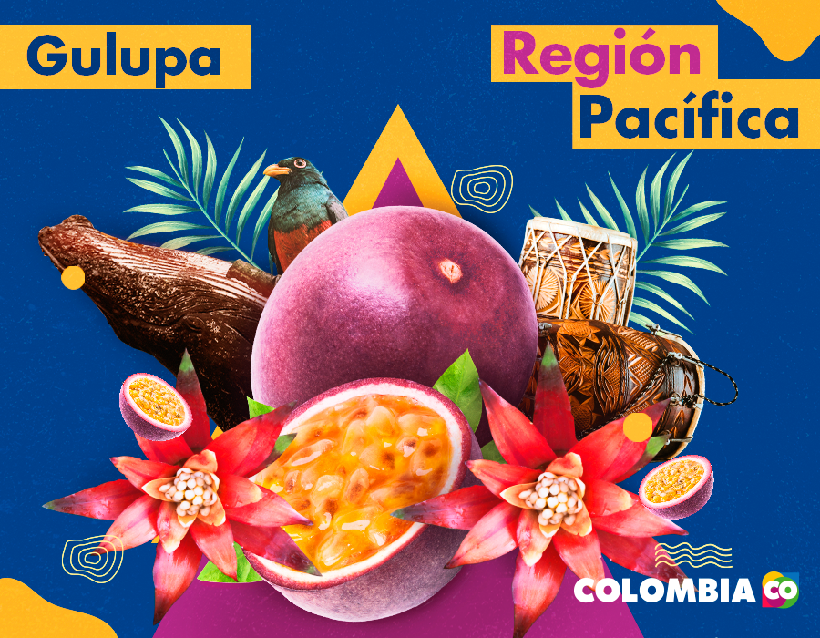 Elementos de la Región Pacífica, abundante en frutas tropicales, entre esas la gulupa.