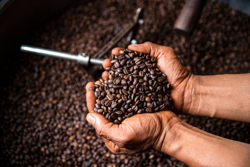 Granos de café, especialidad colombiana.
