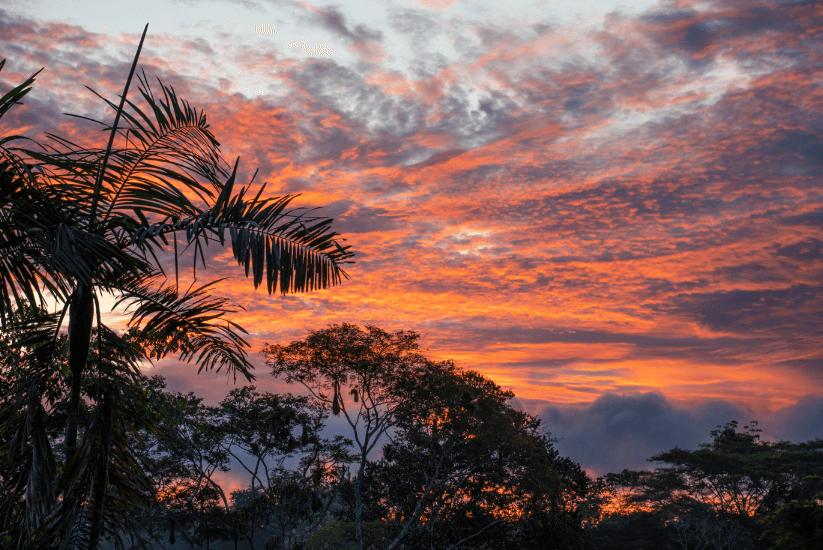 Atardecer del Parque Nacional Natural Amacayacu