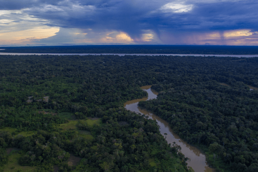 Rio que atraviesa la selva tropical Amacayacu