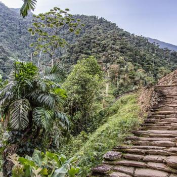Enjoy the magic of the Lost City, with a natural staircase and vast vegetation that accompanies it