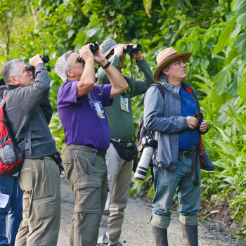 Group of people using binoculars for birdwatching in Colombia