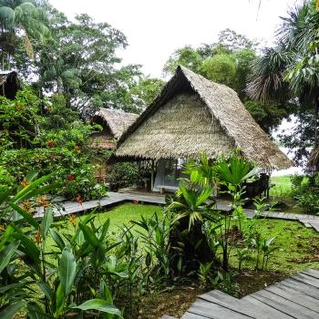 Comunidades indígenas Visits with experts to indigenous communities
