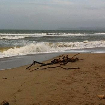 Foto de las playas de Santa Verónica