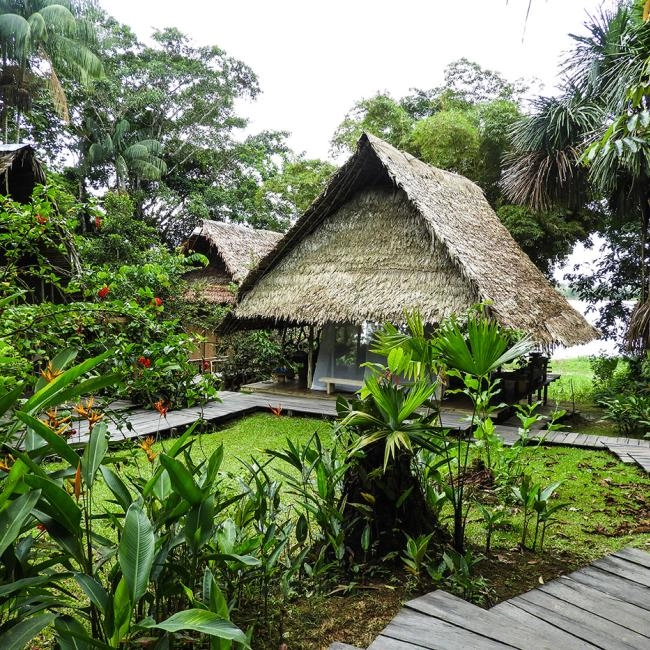 Comunidades indígenas Visits with experts to indigenous communities