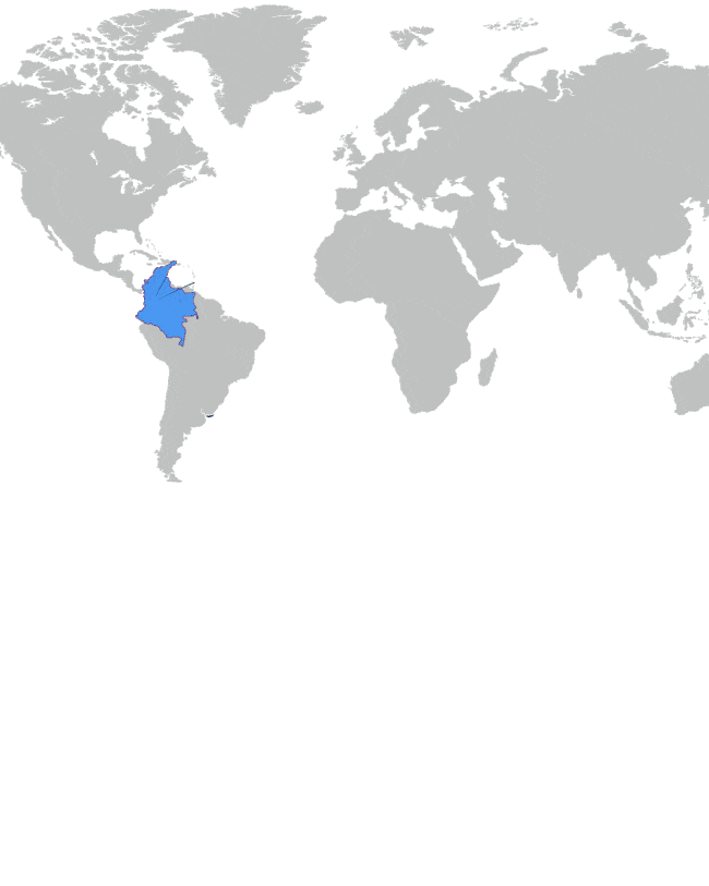 Como llegar a Colombia
