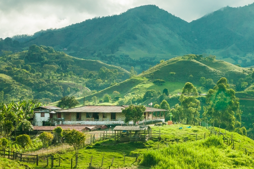 Fincas temáticas