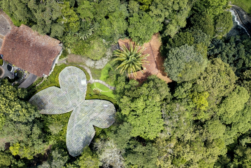 Jardines