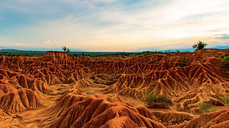 The Tatacoa desert in Colombia is an arid dry forest near a place you can go caving.