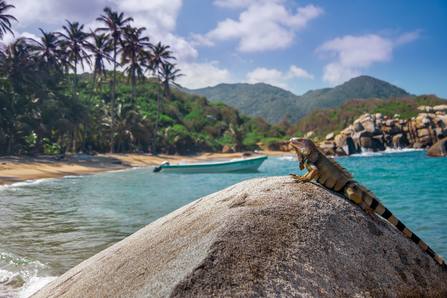 Tayrona Natural National Park in Santa Marta a great place to do tourism in Colombia| Colombia Travel 