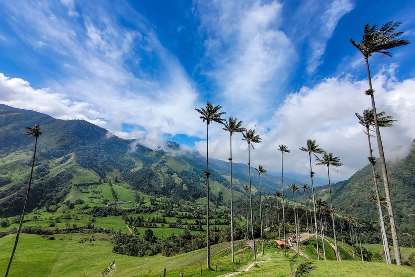 Valle del Cocora